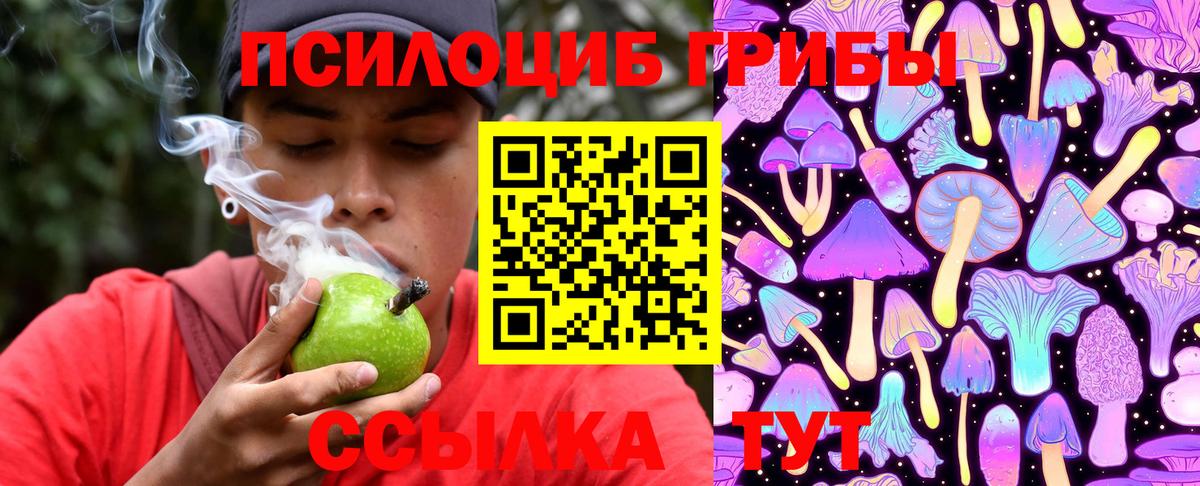 Домодедово  Псилоцибиновые грибы Cubensis  закладки  Вход с VPN 
